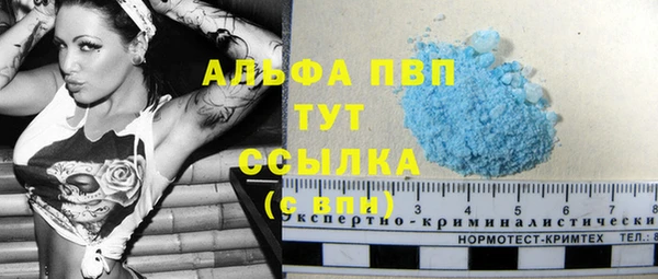 спайс Вяземский